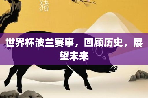 世界杯波兰赛事，回顾历史，展望未来