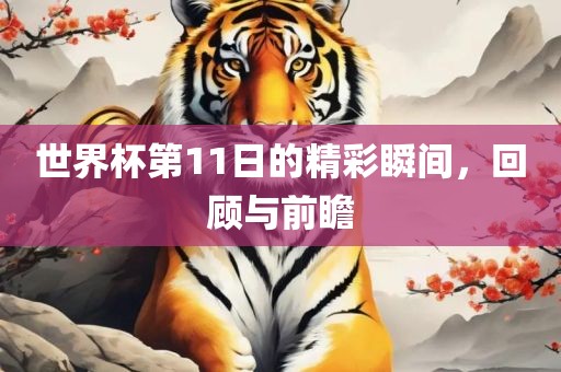 世界杯第11日的精彩瞬间，回顾与前瞻