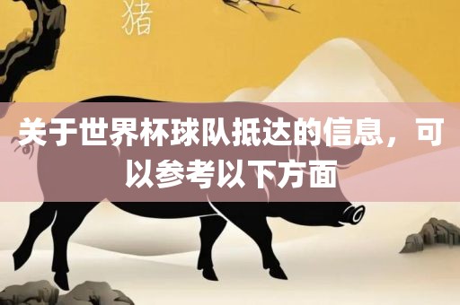 关于世界杯球队抵达的信息，可以参考以下方面