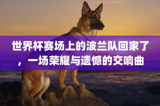 世界杯赛场上的波兰队回家了，一场荣耀与遗憾的交响曲
