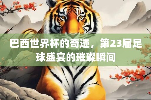 巴西世界杯的奇迹，第23届足球盛宴的璀璨瞬间