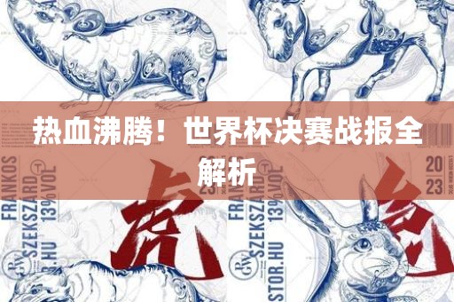 热血沸腾！世界杯决赛战报全解析