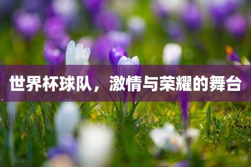 世界杯球队，激情与荣耀的舞台