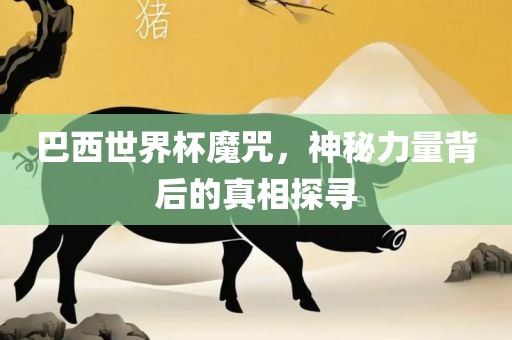 巴西世界杯魔咒，神秘力量背后的真相探寻