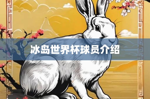 冰岛世界杯球员介绍