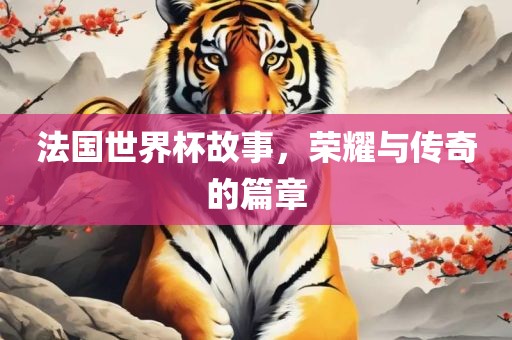 法国世界杯故事，荣耀与传奇的篇章