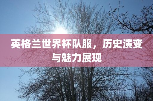 英格兰世界杯队服，历史演变与魅力展现