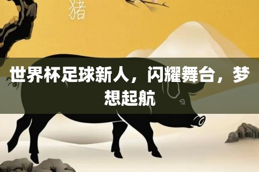 世界杯足球新人，闪耀舞台，梦想起航