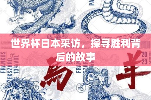 世界杯日本采访，探寻胜利背后的故事