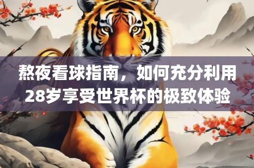 熬夜看球指南，如何充分利用28岁享受世界杯的极致体验