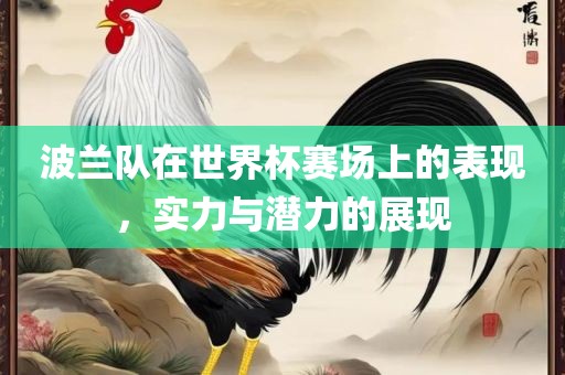 波兰队在世界杯赛场上的表现，实力与潜力的展现