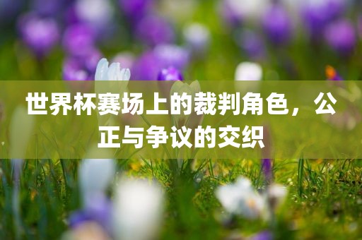 世界杯赛场上的裁判角色，公正与争议的交织