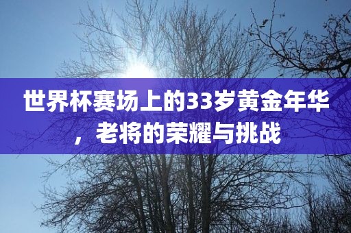 世界杯赛场上的33岁黄金年华，老将的荣耀与挑战