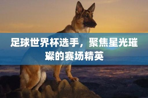 足球世界杯选手，聚焦星光璀璨的赛场精英