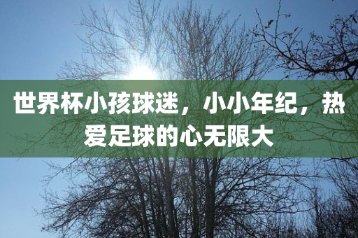 世界杯小孩球迷，小小年纪，热爱足球的心无限大