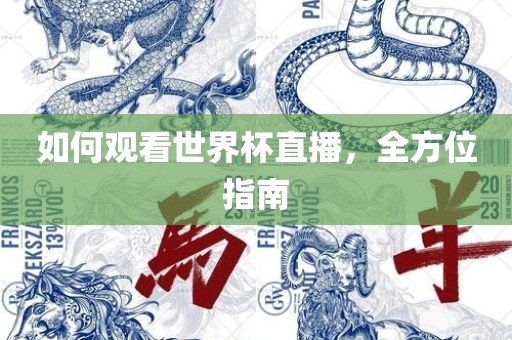 如何观看世界杯直播，全方位指南