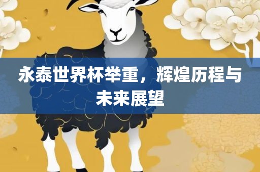 永泰世界杯举重，辉煌历程与未来展望