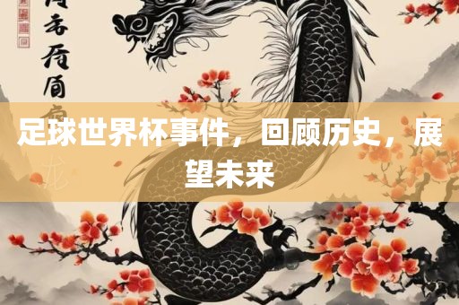 足球世界杯事件，回顾历史，展望未来