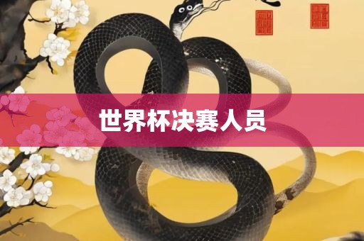 世界杯决赛人员