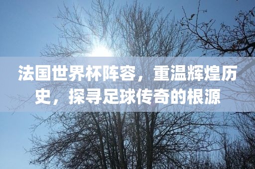 法国世界杯阵容，重温辉煌历史，探寻足球传奇的根源