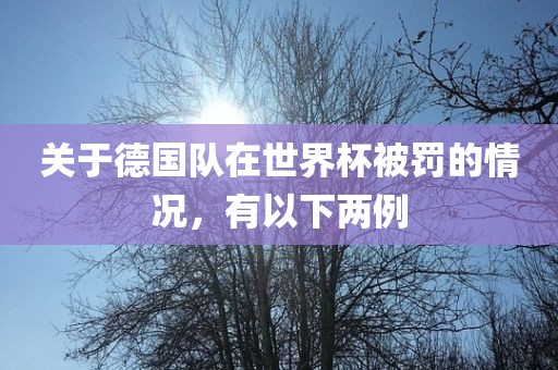关于德国队在世界杯被罚的情况，有以下两例
