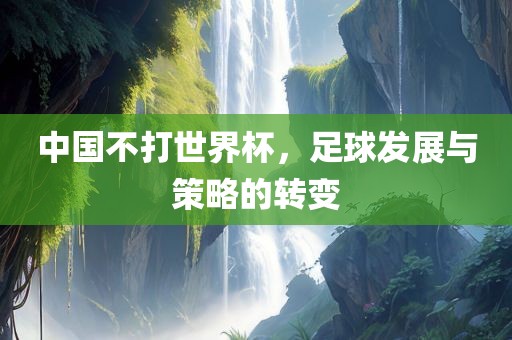 中国不打世界杯，足球发展与策略的转变