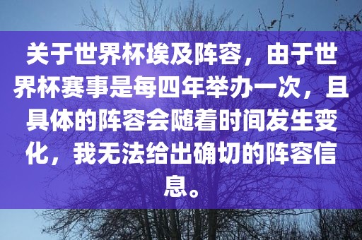 关于世界杯埃及阵容，由于世界杯赛事是每四年举办一次，且具体的阵容会随着时间发生变化，我无法给出确切的阵容信息。