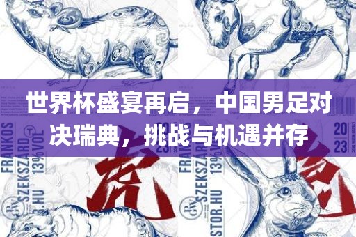 世界杯盛宴再启，中国男足对决瑞典，挑战与机遇并存