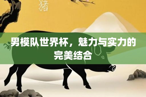 男模队世界杯，魅力与实力的完美结合