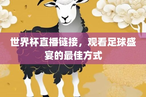 世界杯直播链接，观看足球盛宴的最佳方式