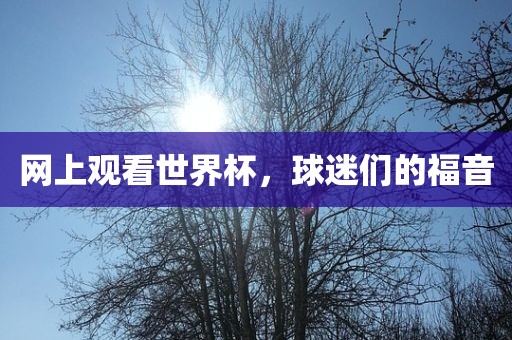 网上观看世界杯，球迷们的福音