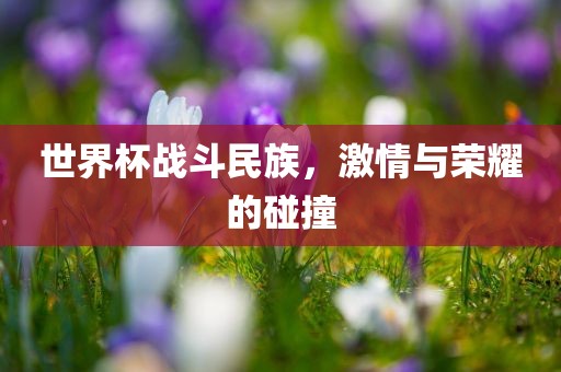 世界杯战斗民族，激情与荣耀的碰撞