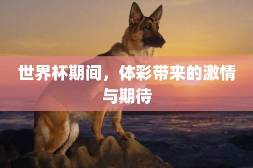 世界杯期间，体彩带来的激情与期待
