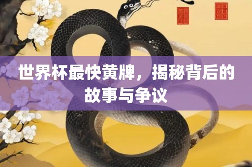 世界杯最快黄牌，揭秘背后的故事与争议