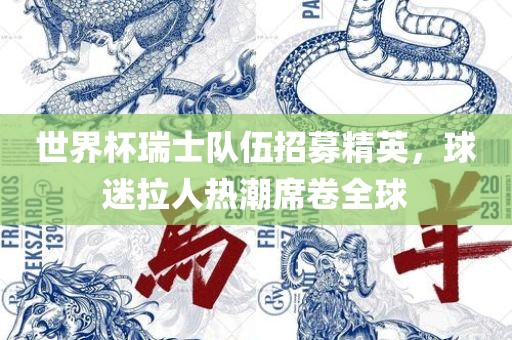 世界杯瑞士队伍招募精英，球迷拉人热潮席卷全球