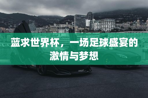蓝求世界杯，一场足球盛宴的激情与梦想