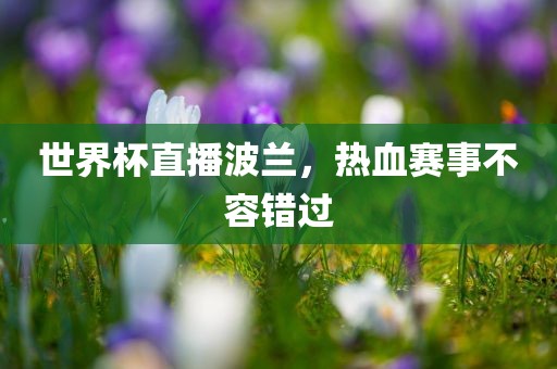 世界杯直播波兰，热血赛事不容错过