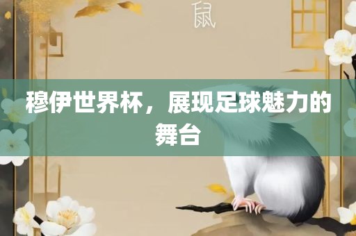 穆伊世界杯，展现足球魅力的舞台