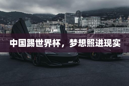中国踢世界杯，梦想照进现实