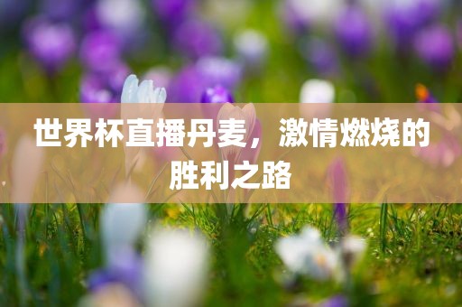 世界杯直播丹麦，激情燃烧的胜利之路