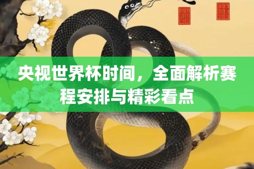 央视世界杯时间，全面解析赛程安排与精彩看点