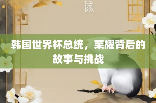 韩国世界杯总统，荣耀背后的故事与挑战