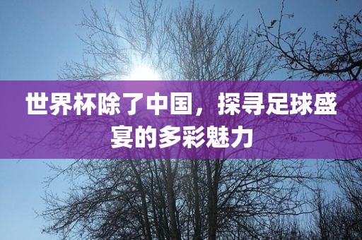 世界杯除了中国，探寻足球盛宴的多彩魅力