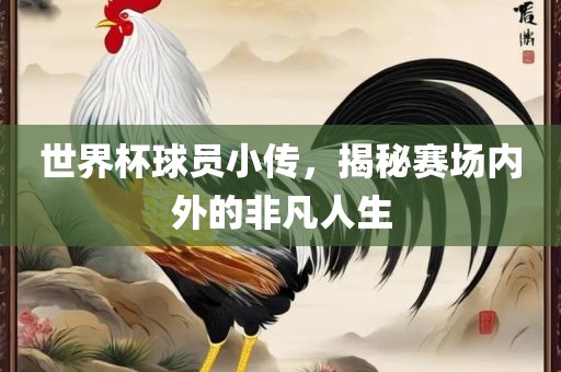 世界杯球员小传，揭秘赛场内外的非凡人生