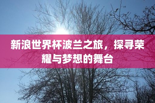 新浪世界杯波兰之旅，探寻荣耀与梦想的舞台