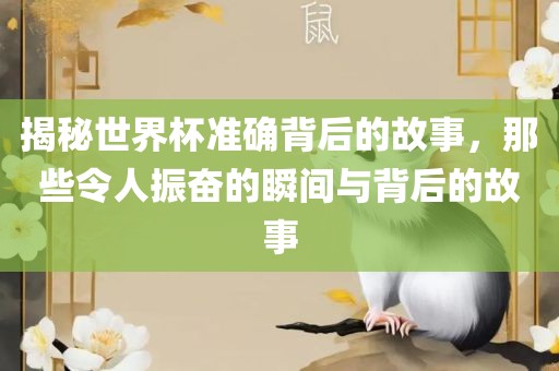 揭秘世界杯准确背后的故事，那些令人振奋的瞬间与背后的故事