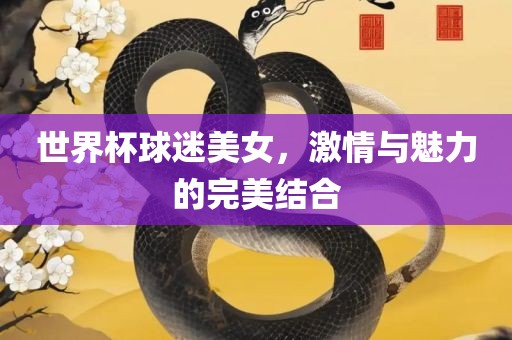 世界杯球迷美女，激情与魅力的完美结合