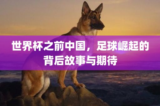 世界杯之前中国，足球崛起的背后故事与期待