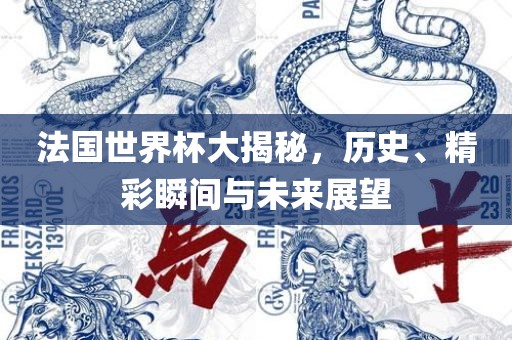 法国世界杯大揭秘，历史、精彩瞬间与未来展望