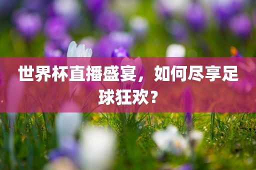 世界杯直播盛宴，如何尽享足球狂欢？